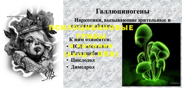 стаф Аркадак