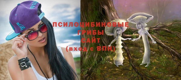 стаф Аркадак