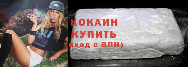 стаф Аркадак