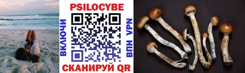 где продают   Островной  shop состав  Галлюциногенные грибы Cubensis 